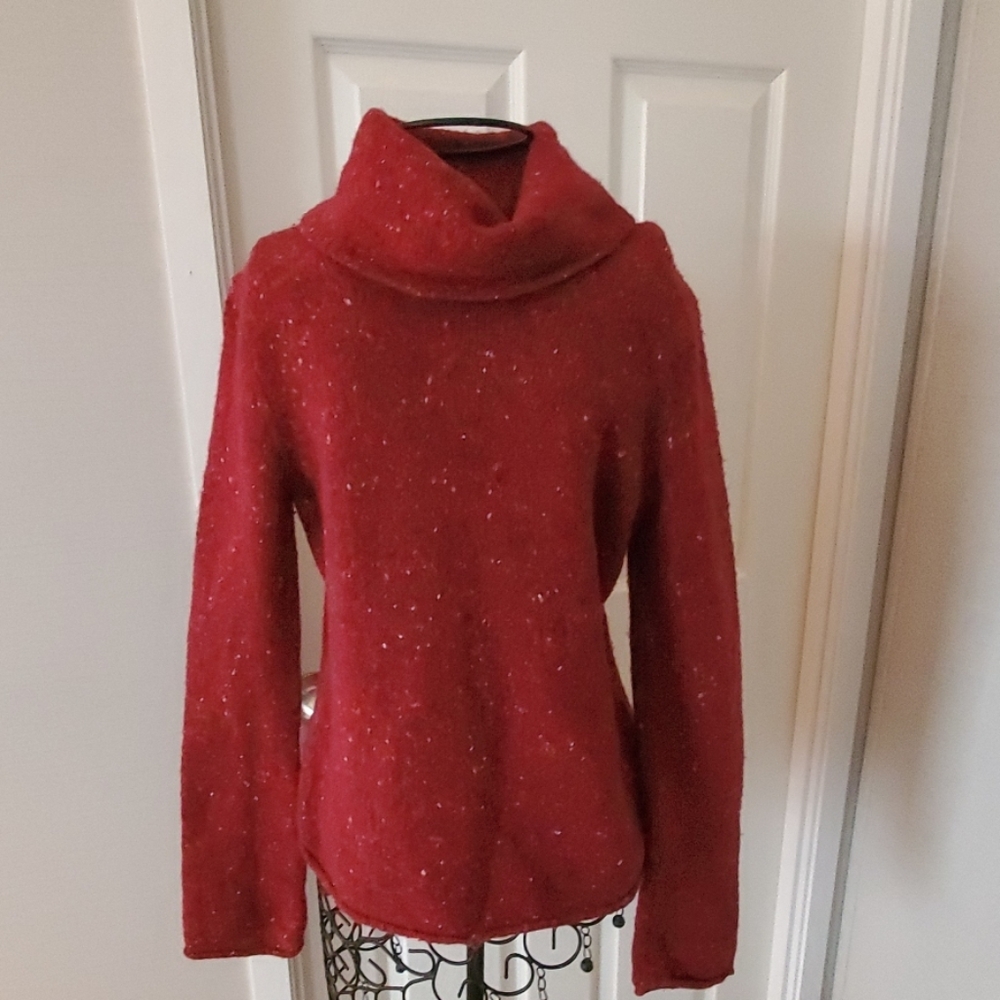 Express brand comfy cowl neck sweater